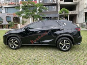 Xe Lexus NX 300 2018