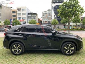 Xe Lexus NX 300 2018