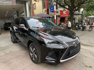 Xe Lexus NX 300 2018