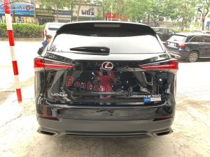 Xe Lexus NX 300 2018