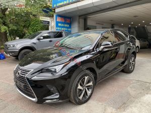 Xe Lexus NX 300 2018